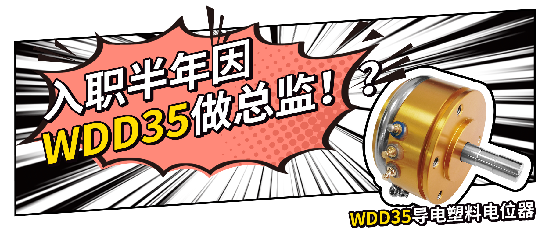 入職半年因WDD35做總監(jiān)？！